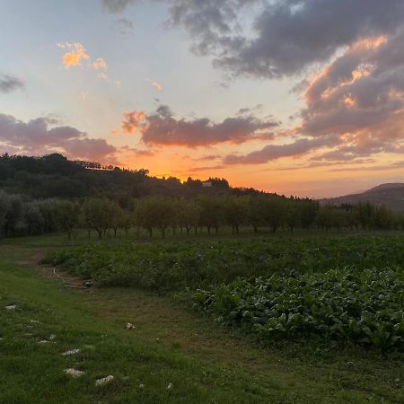 Appartamento Piero Bagno A Ripoli Exterior photo
